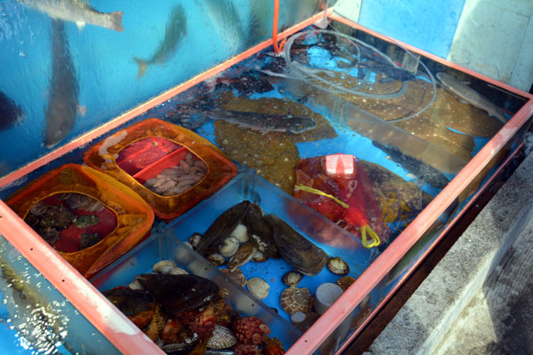 南浦洞のチャガルチ市場の焼き魚