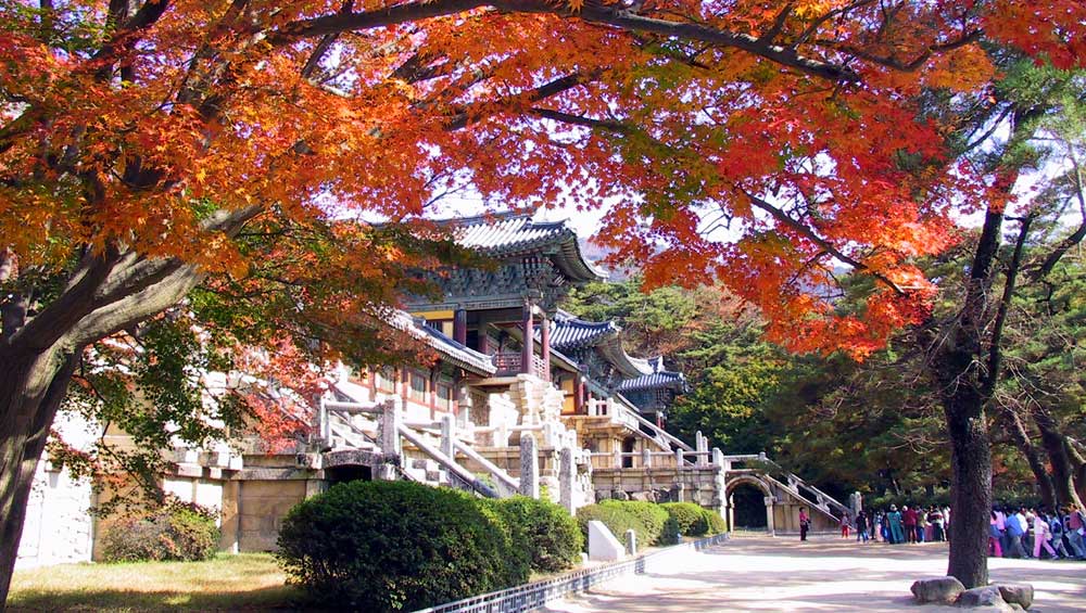 真っ赤に染めた秋の仏国寺