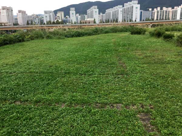 大成洞古墳博物館