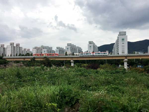 大成洞古墳博物館