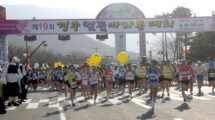 慶州桜マラソン大会
