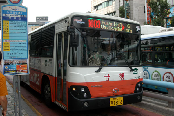 釜山1000番急行バス