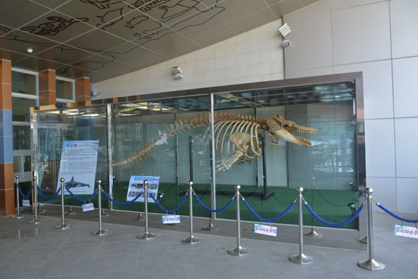 長生浦鯨博物館