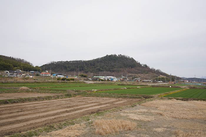 羅州伏岩里古墳群