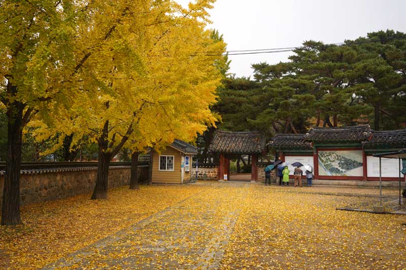 慶州南山の鮑石亭の秋