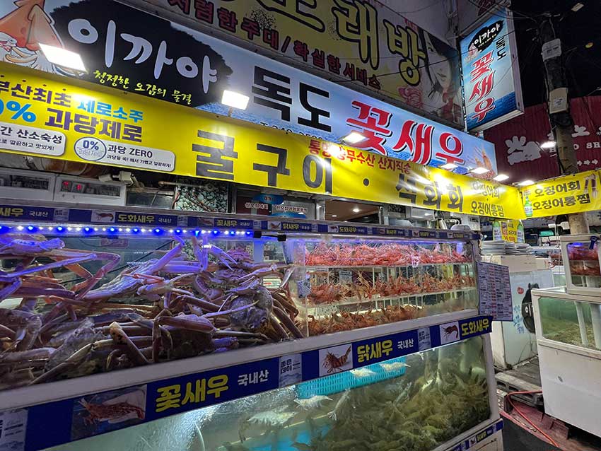 釜山南浦洞のイカ屋
