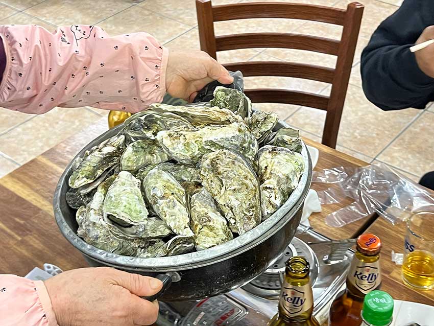 釜山南浦洞のイカ屋